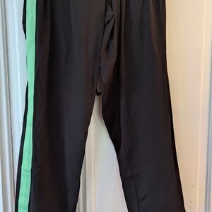 Ashro pants